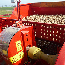 Die Kartoffeln in der Maschine